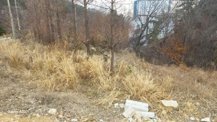 경남 거제시 아주동 임야 경매 물건 사진 3 · 2026타경10240