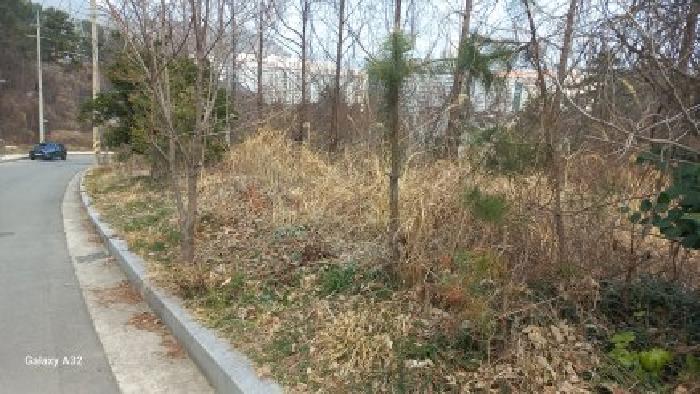 경남 거제시 아주동 임야 경매 물건 사진 6 · 2026타경10240