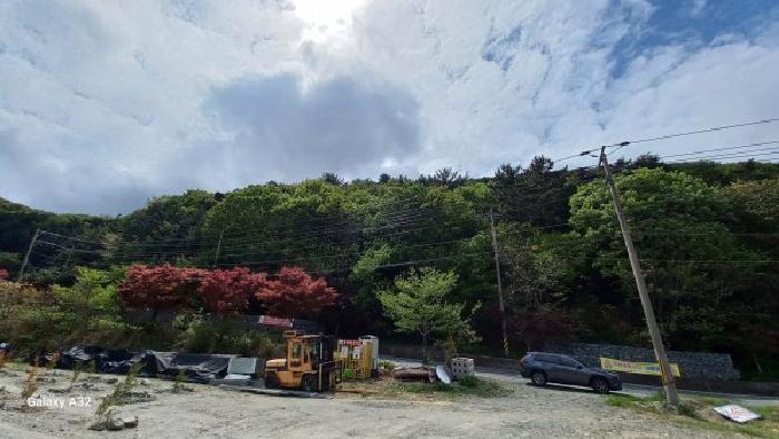 경남 거제시 문동동 임야 경매 물건 사진 3 · 2026타경10356