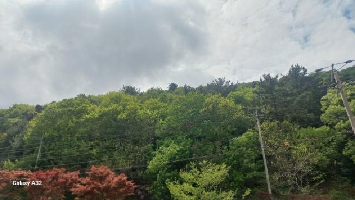 경남 거제시 문동동 임야 경매 물건 사진 4 · 2026타경10356
