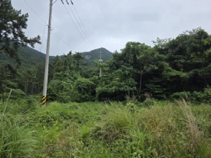경남 거제시 사등면 대지,임야,전답 경매 물건 사진