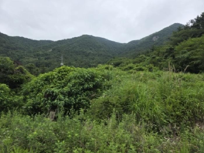 경남 거제시 사등면 대지,임야,전답 경매 물건 사진 5 · 2026타경10391