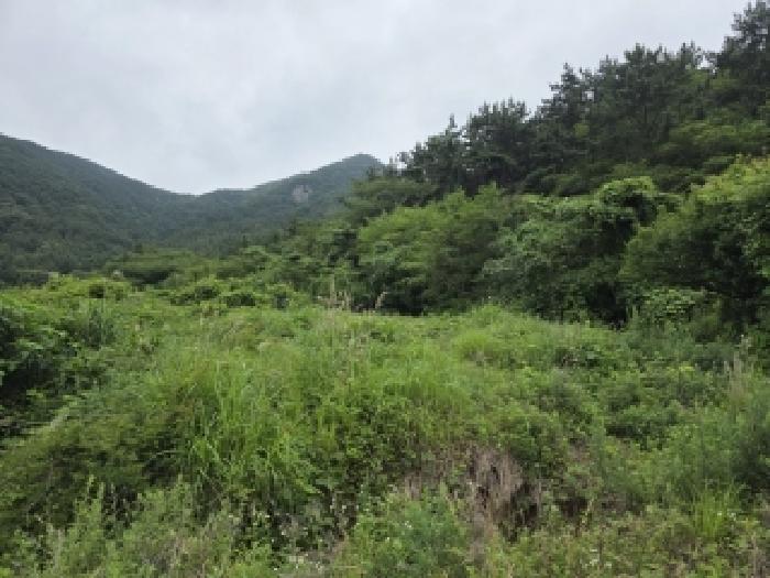 경남 거제시 사등면 대지,임야,전답 경매 물건 사진 6 · 2026타경10391