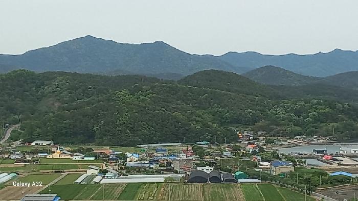 경남 고성군 하일면 임야 경매 물건 사진