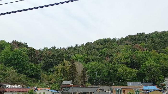 경남 고성군 하일면 임야 경매 물건 사진 4 · 2026타경10413