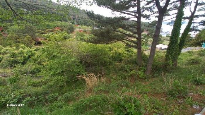 경남 거제시 남부면 전답 경매 물건 사진