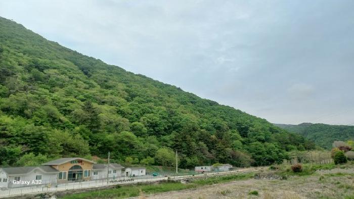 경남 거제시 동부면 임야 경매 물건 사진