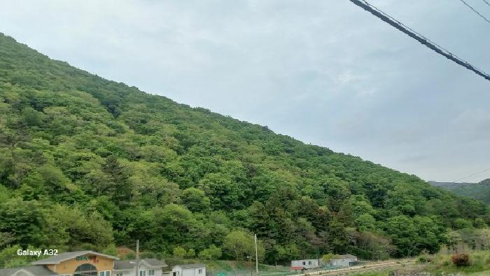 경남 거제시 동부면 임야 경매 물건 사진 2 · 2026타경10461
