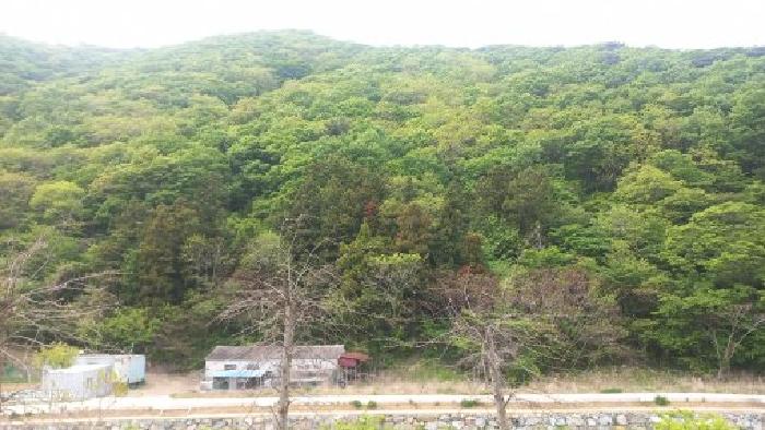 경남 거제시 동부면 임야 경매 물건 사진 5 · 2026타경10461