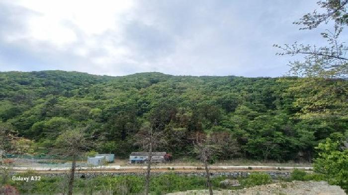 경남 거제시 동부면 임야 경매 물건 사진 6 · 2026타경10461