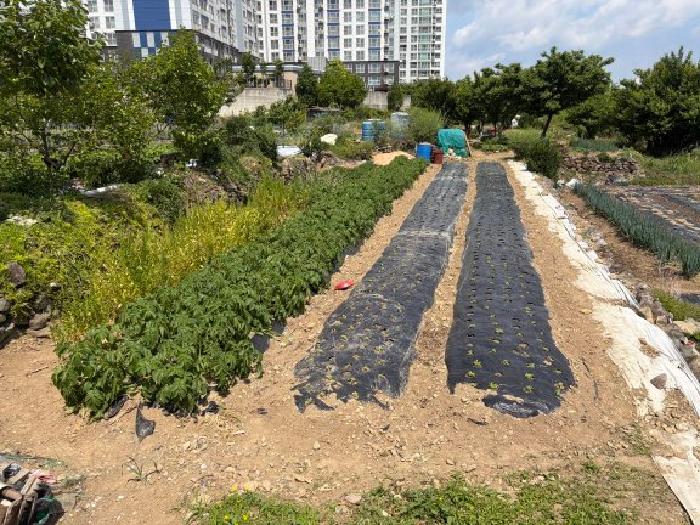 경남 거제시 상동동 전답 경매 물건 사진