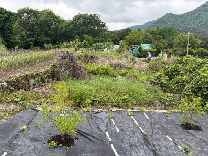 경남 거제시 상동동 대지 경매 물건 사진