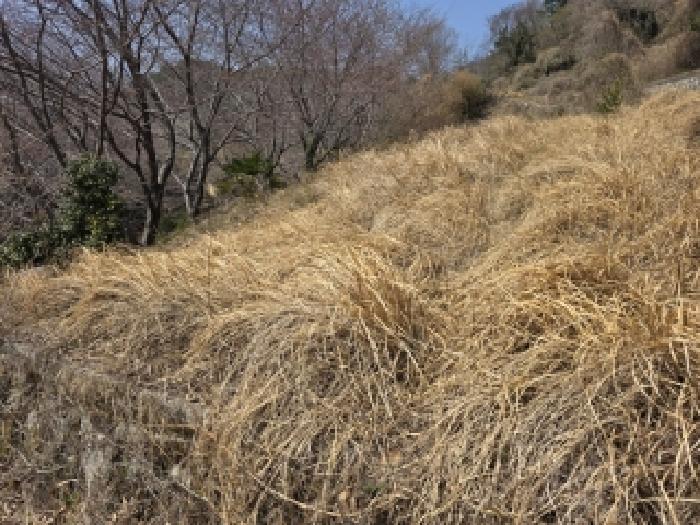 경남 통영시 산양읍 근린생활시설 경매 물건 사진