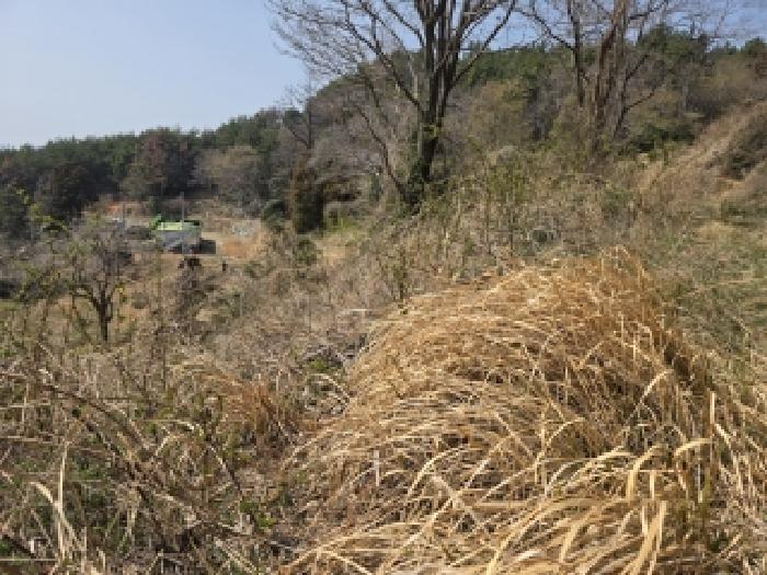 경남 통영시 산양읍 근린생활시설 경매 물건 사진 5 · 2026타경25