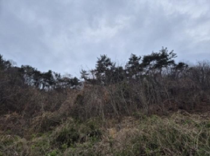 경남 고성군 동해면 대지,임야,전답 경매 물건 사진 2 · 2026타경39