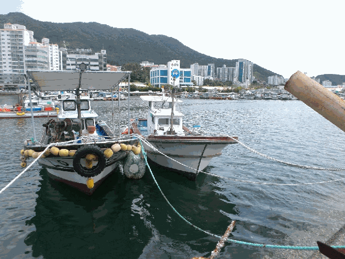 고성군 동해면 선박 경매 물건 사진 6 · 2026타경92