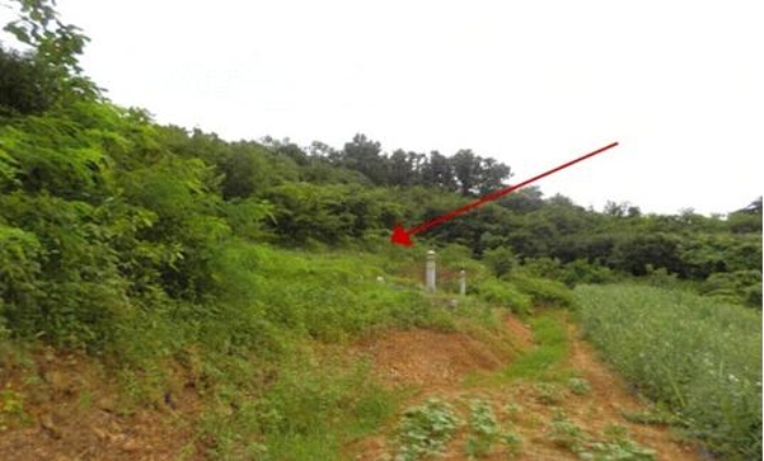 경남 창녕군 계성면 전 경매 물건 사진 6 · 2023타경1116