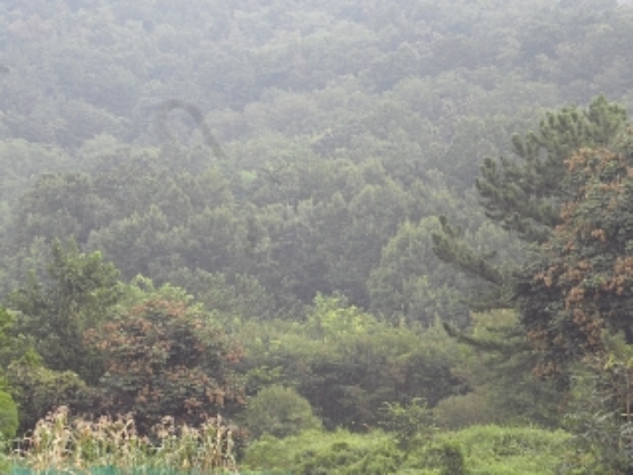 경남 창녕군 영산면 전 경매 물건 사진