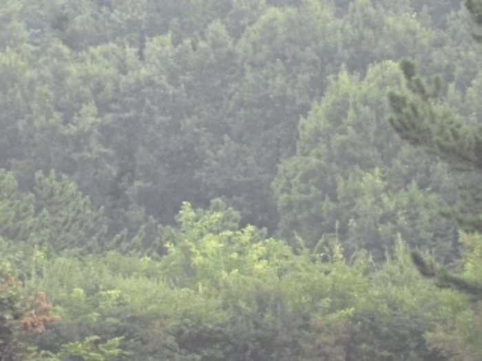 경남 창녕군 영산면 전 경매 물건 사진 3 · 2023타경12048