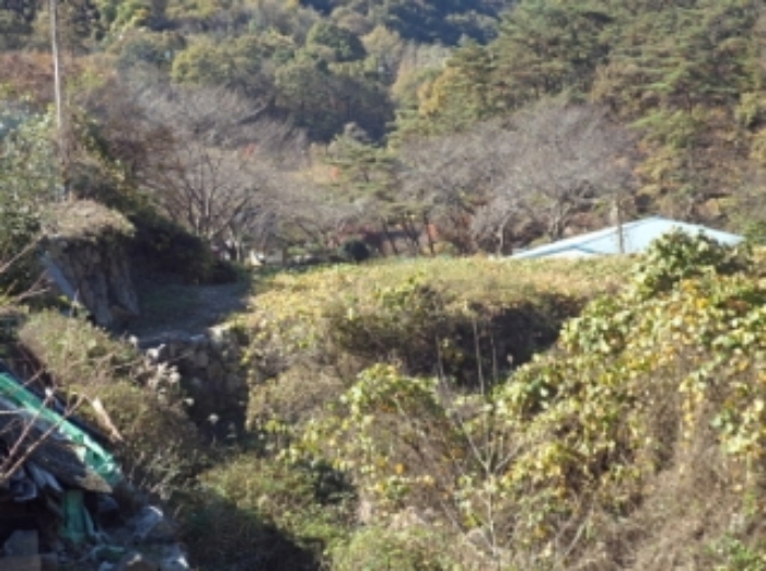 경남 밀양시 삼랑진읍 임야 경매 물건 사진 6 · 2023타경12826