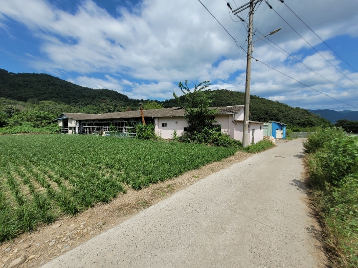 경상남도 밀양시 상남면 기산리 1643-1 목장용지 경매 물건 사진