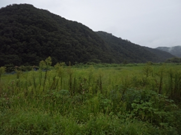 경남 밀양시 상남면 목장용지 경매 물건 사진