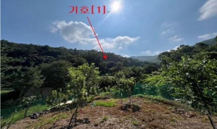 경상남도 밀양시 무안면 정곡리 산66 임야 경매 물건 사진