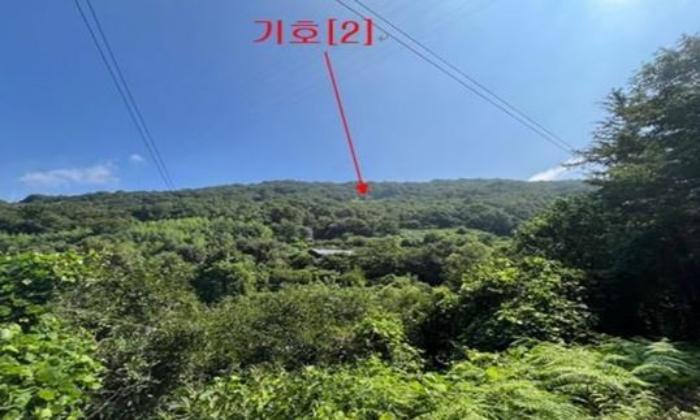 경남 밀양시 무안면 임야 경매 물건 사진 4 · 2024타경12007