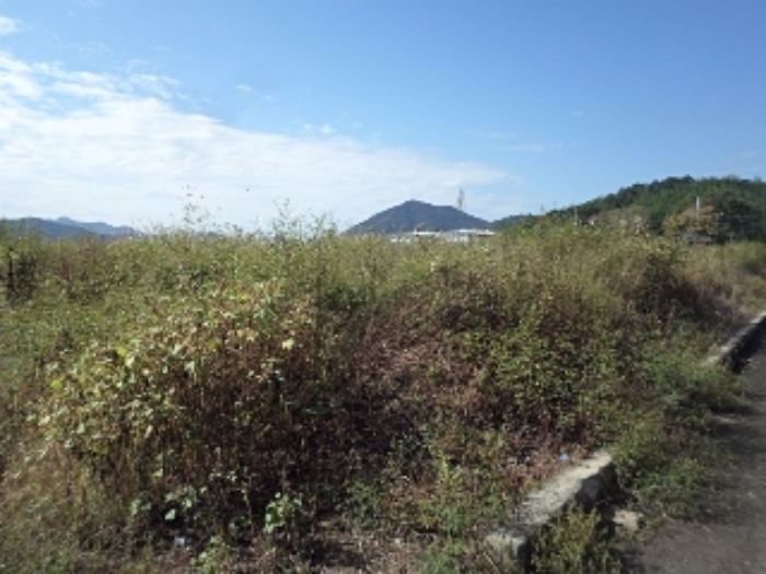 경남 밀양시 삼랑진읍 답 경매 물건 사진 4 · 2024타경12663