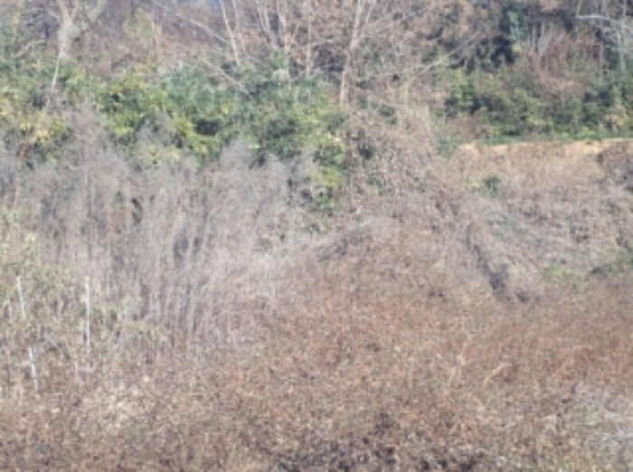 경남 밀양시 상남면 전 경매 물건 사진 3 · 2024타경13406