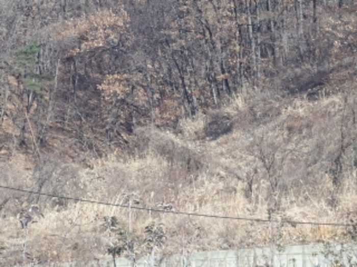 경남 밀양시 산내면 임야 경매 물건 사진 3 · 2024타경13468