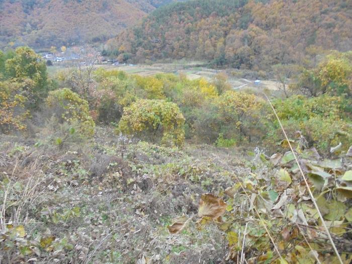 경남 밀양시 단장면 답 경매 물건 사진 5 · 2024타경1892