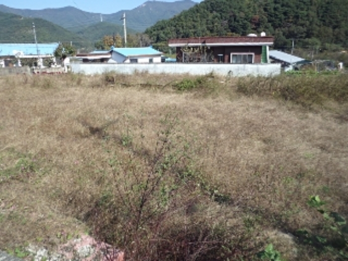경남 밀양시 단장면 대지 경매 물건 사진 2 · 2024타경2536