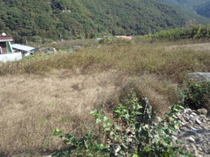 경남 밀양시 단장면 대지 경매 물건 사진 3 · 2024타경2536