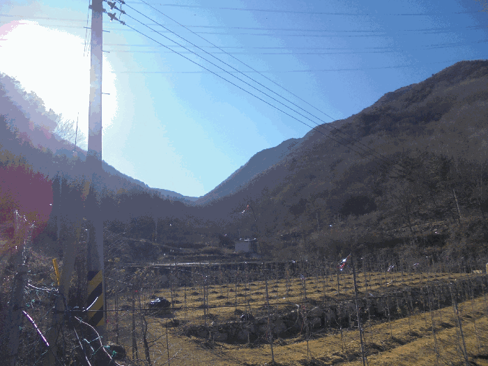 경남 밀양시 단장면 하천 경매 물건 사진 6 · 2024타경2642