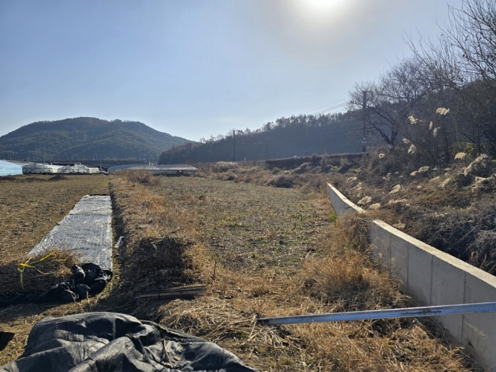 경남 밀양시 교동 답 경매 물건 사진 6 · 2024타경3027