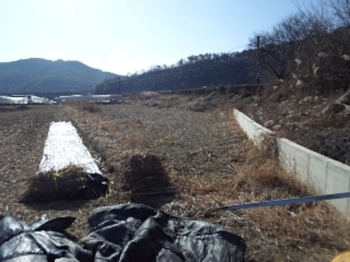 경남 밀양시 교동 답 경매 물건 사진