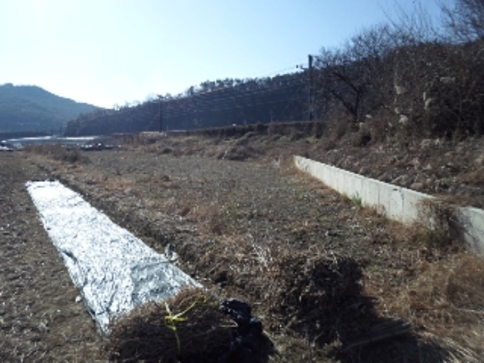 경남 밀양시 교동 답 경매 물건 사진 3 · 2024타경3027