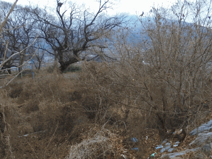 경상남도 밀양시 산내면 삼양리 1804-5 전 경매 물건 사진