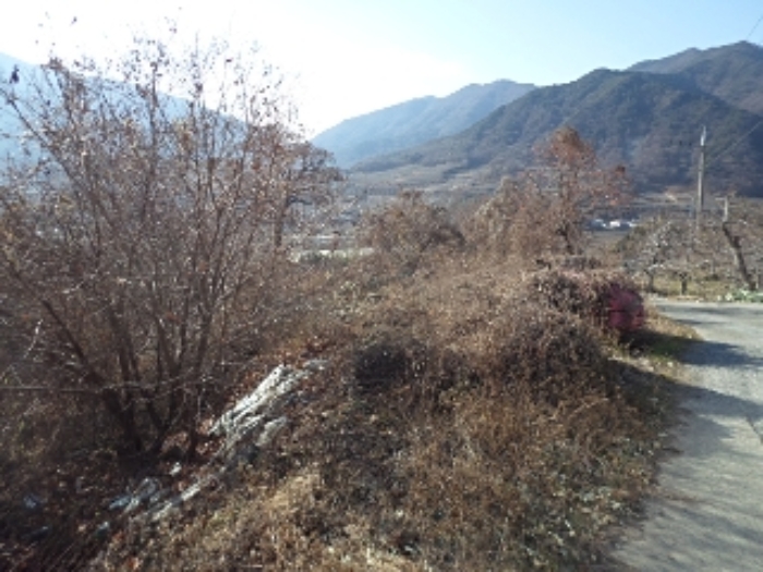 경남 밀양시 산내면 전 경매 물건 사진 2 · 2024타경3218