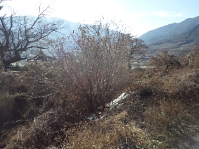 경남 밀양시 산내면 전 경매 물건 사진 3 · 2024타경3218