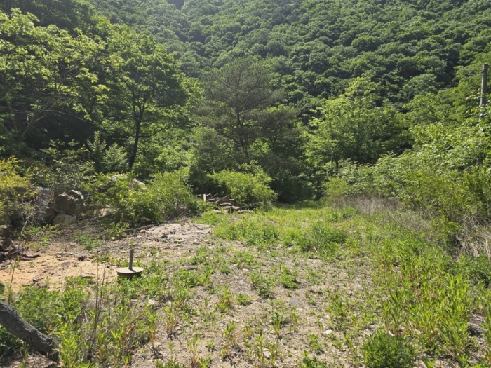 경상남도 밀양시 단장면 구천리 산99 답 경매 물건 사진