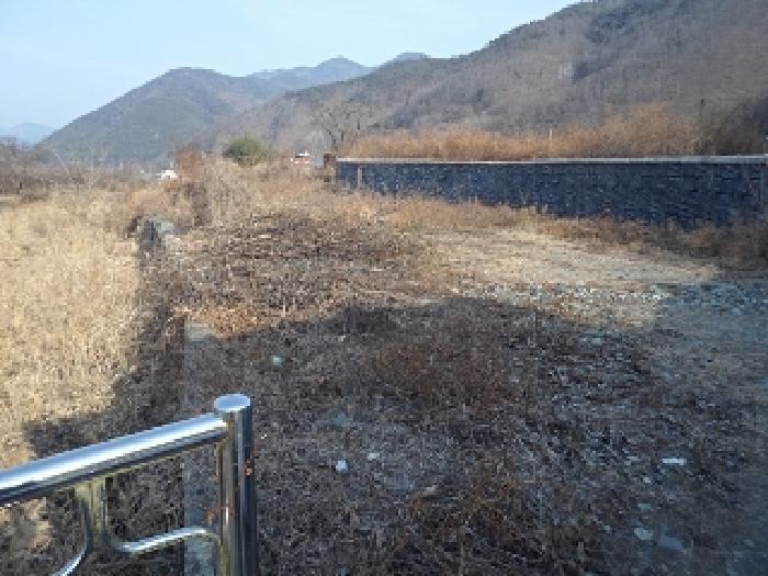 경남 밀양시 단장면 대지 경매 물건 사진 4 · 2025타경10053
