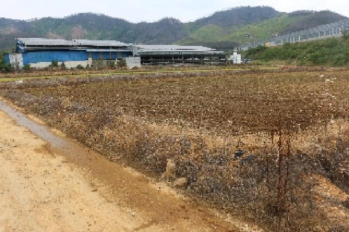 경남 밀양시 무안면 전 경매 물건 사진 5 · 2025타경1011