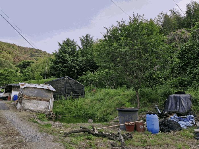 경남 밀양시 무안면 전 경매 물건 사진