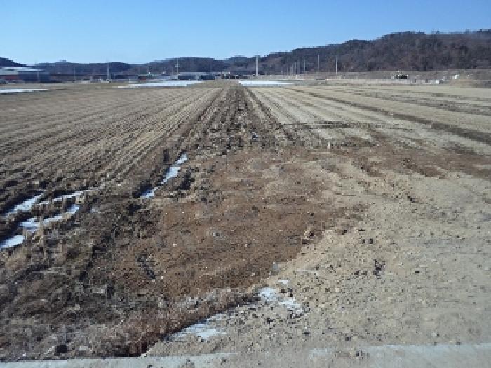경남 창녕군 장마면 답 경매 물건 사진