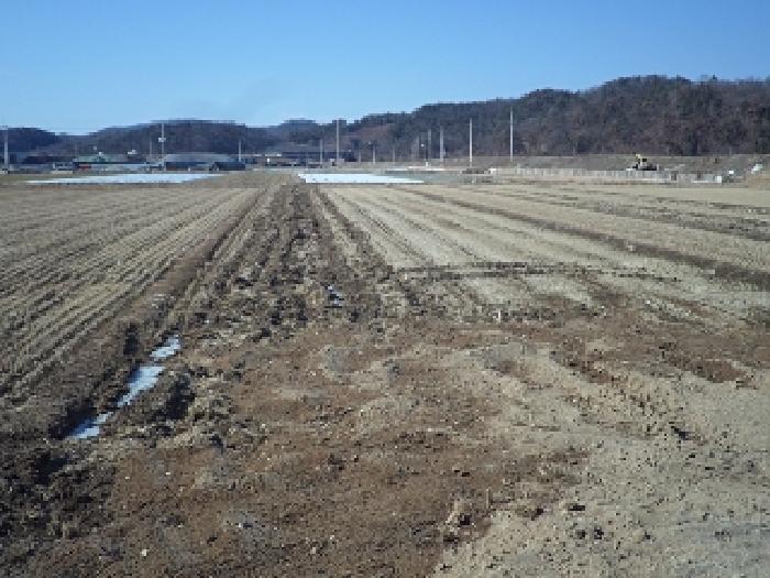 경남 창녕군 장마면 답 경매 물건 사진 2 · 2025타경10138