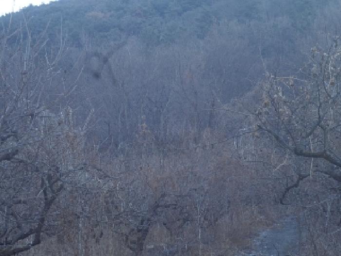 경남 창녕군 길곡면 전 경매 물건 사진 4 · 2025타경10152