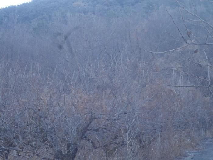 경남 창녕군 길곡면 전 경매 물건 사진 5 · 2025타경10152