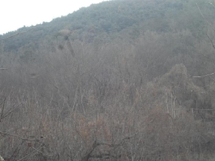 경남 창녕군 길곡면 전 경매 물건 사진 6 · 2025타경10152